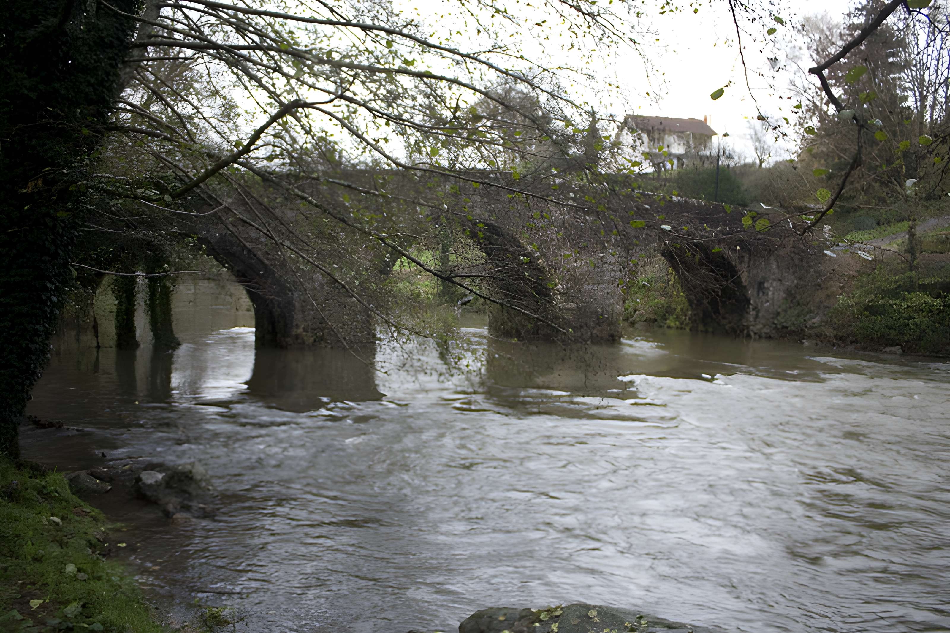 Pont sur le Célé à Bagnac-sur-Célé
