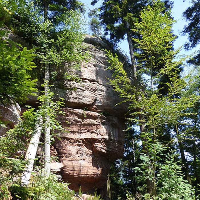 Photo de Zone archéologique