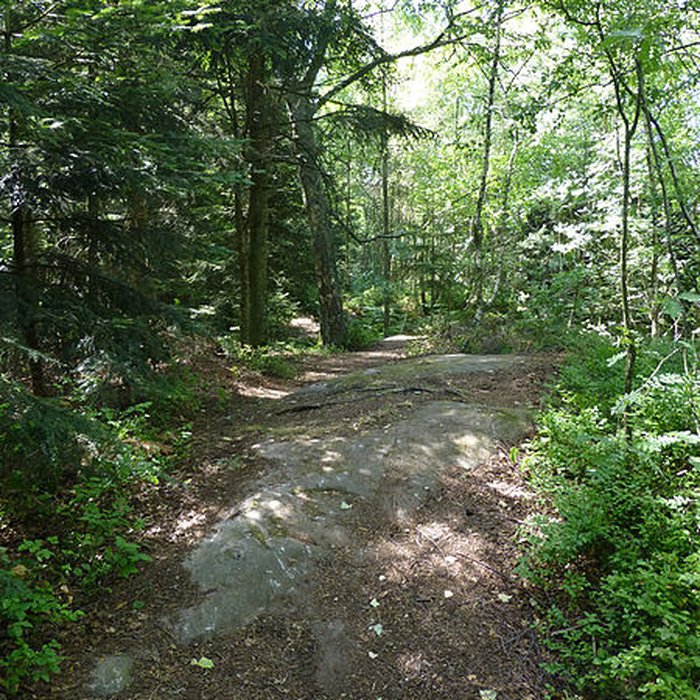 Photo de Zone archéologique