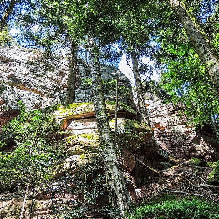 Photo de Zone archéologique