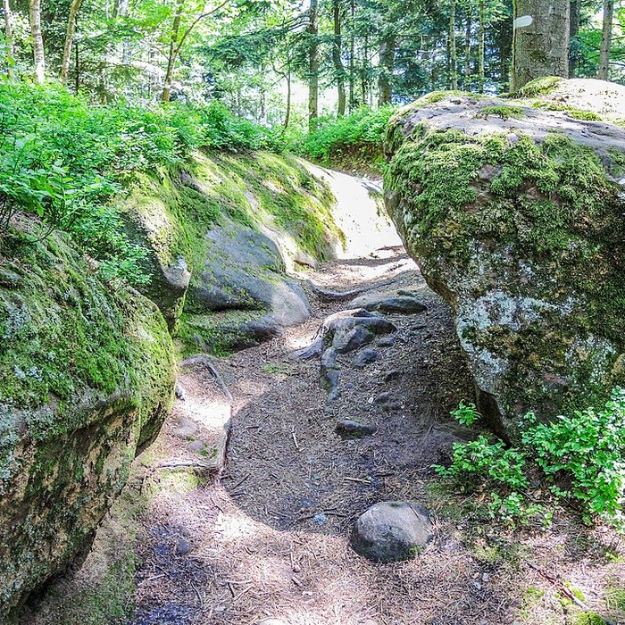 Photo de Zone archéologique