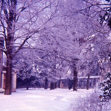 Ancien asile des aliénés, aujourdhui Centre Hospitalier Spécialisé de lYonne