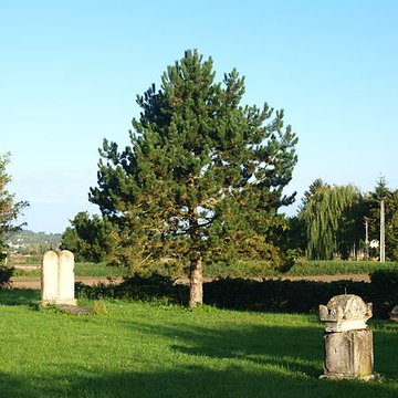 Cimetière désaffecté