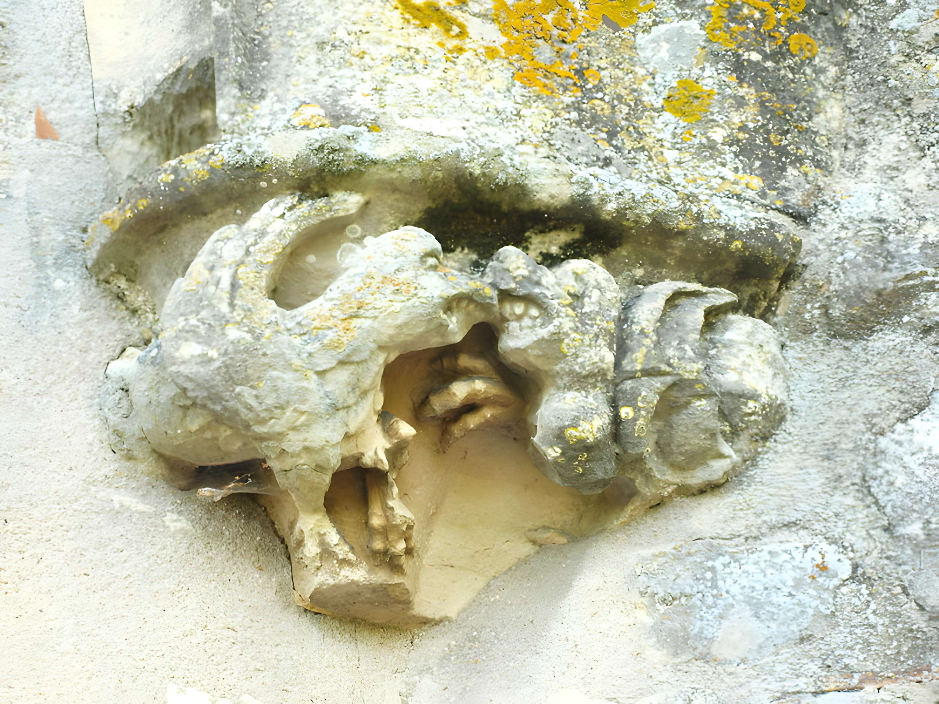 Cimetière désaffecté