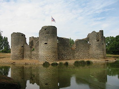 Photo de Château de Commequiers