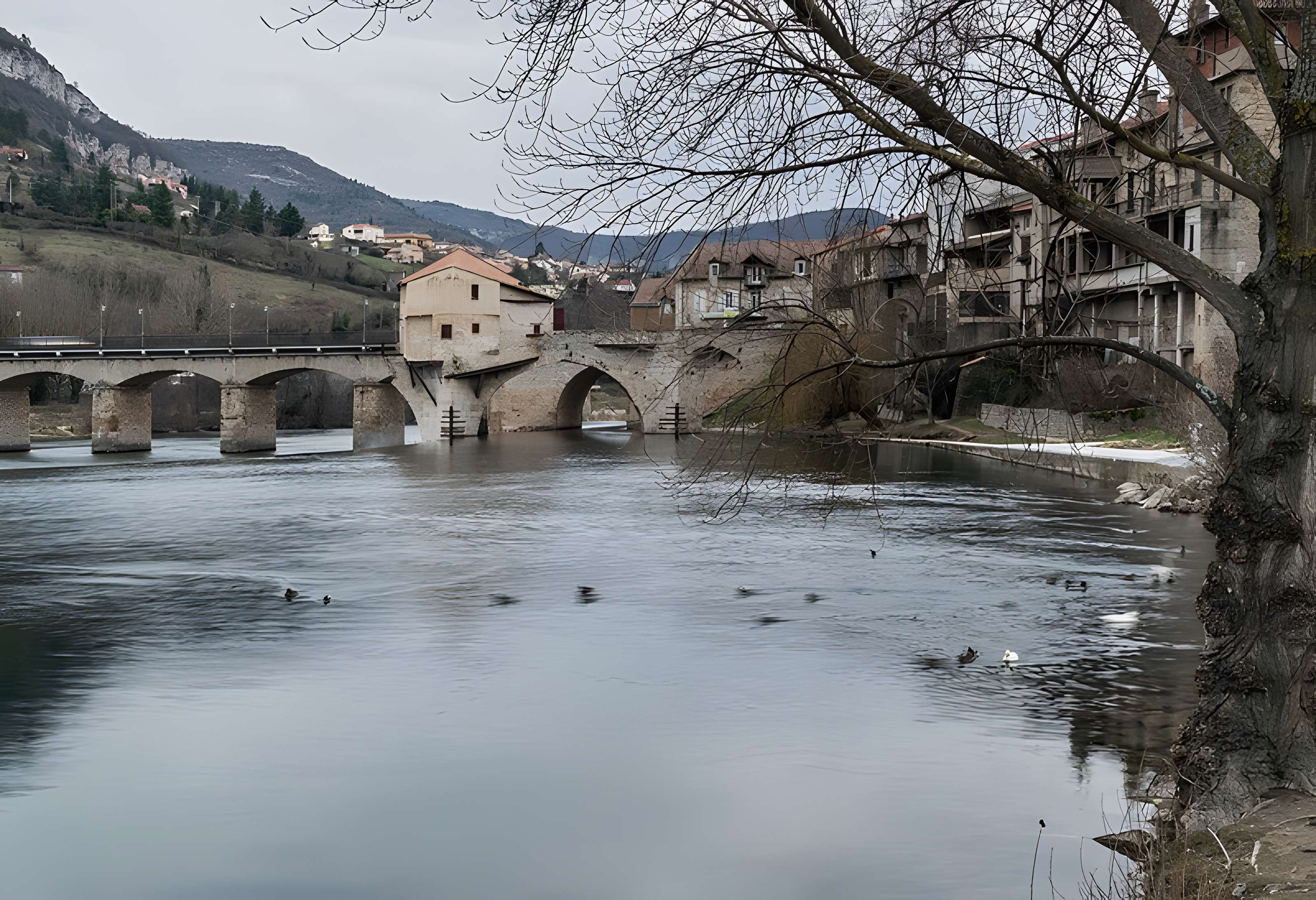 Pont Vieux de Millau