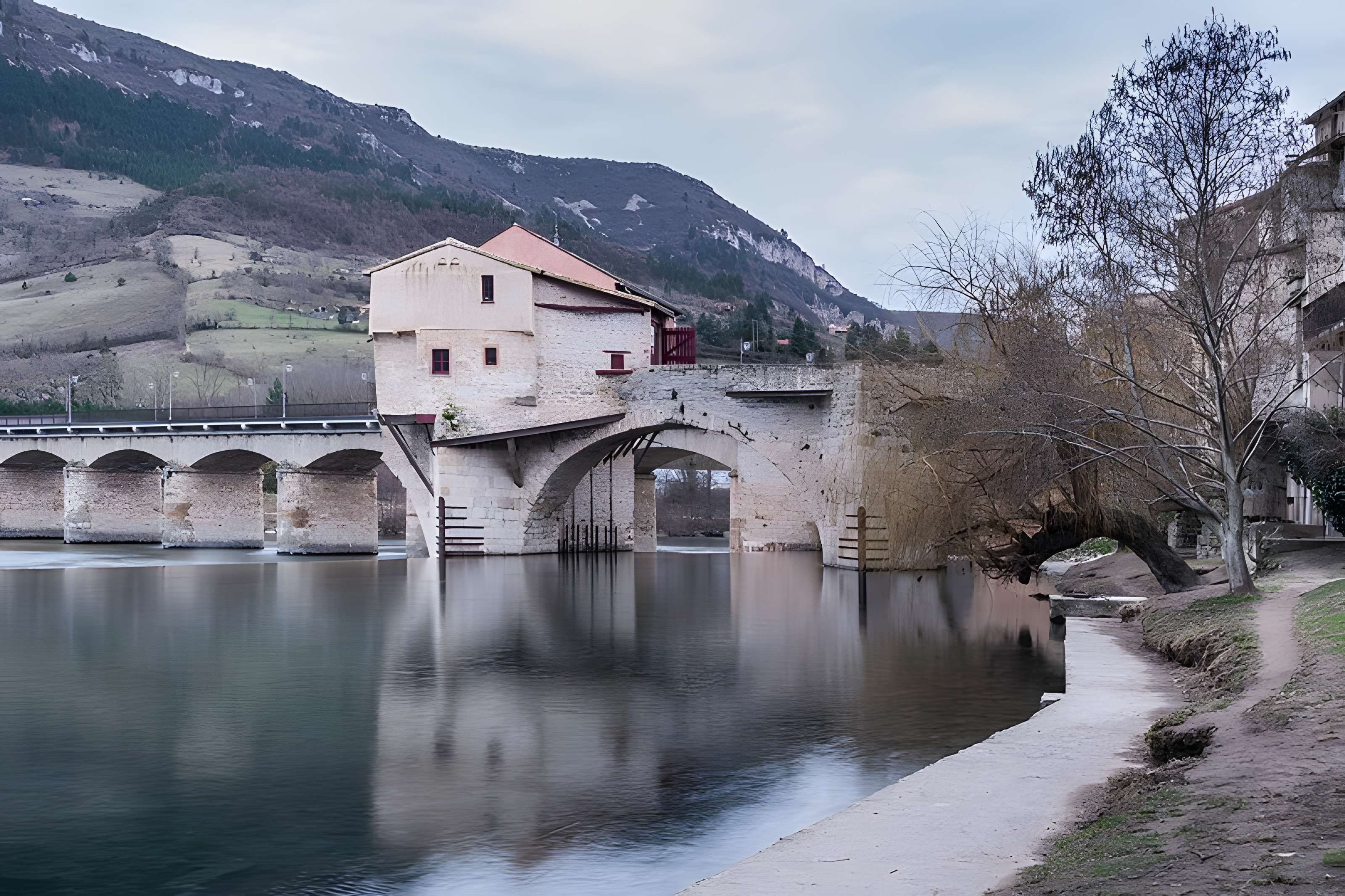 Pont Vieux de Millau