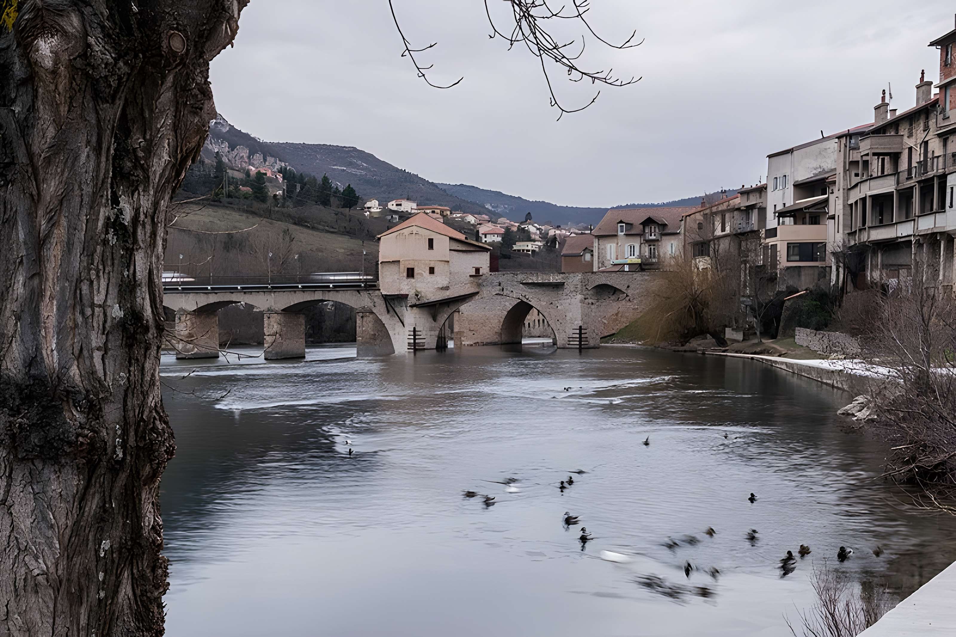 Pont Vieux de Millau