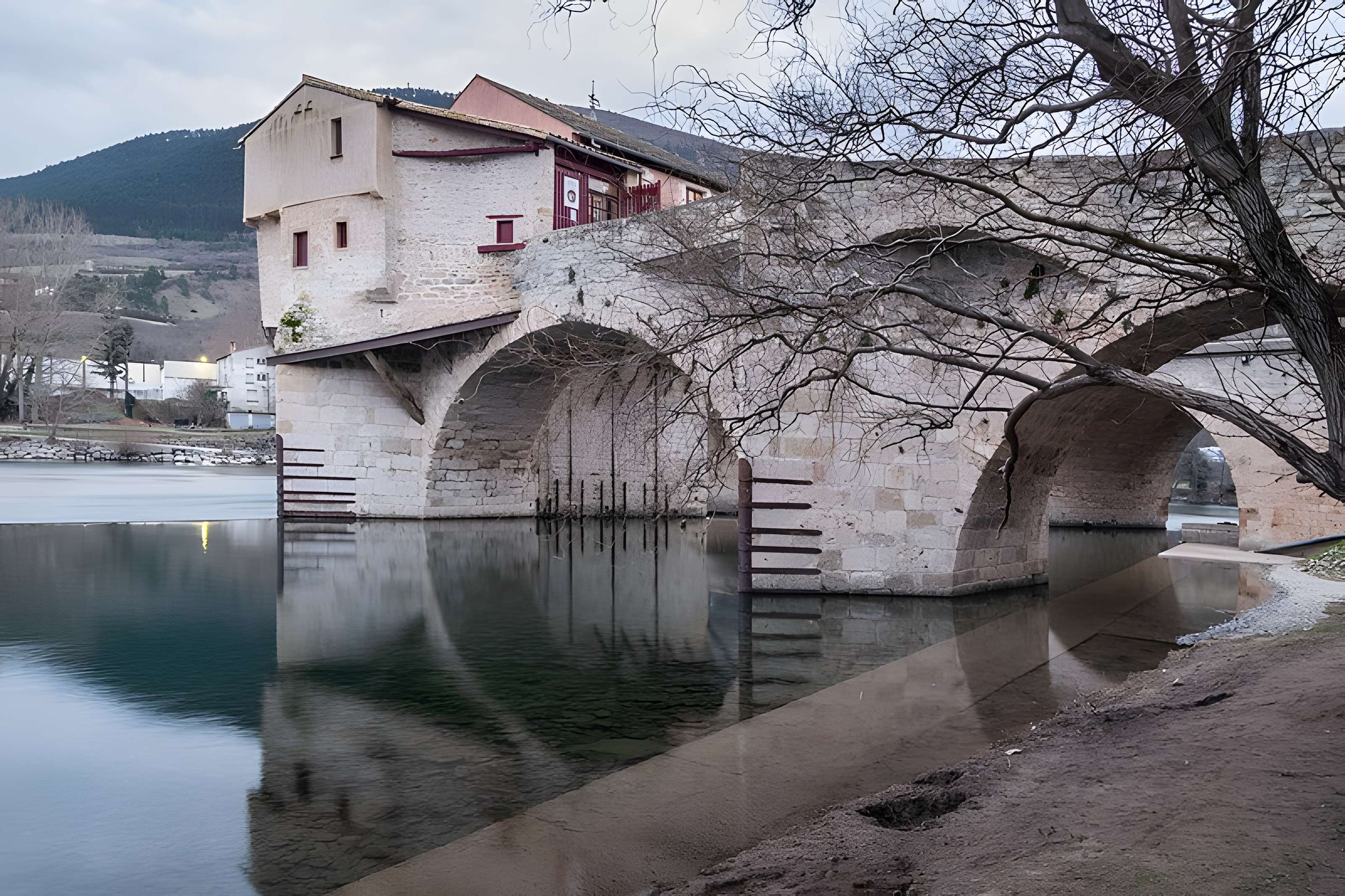 Pont Vieux de Millau