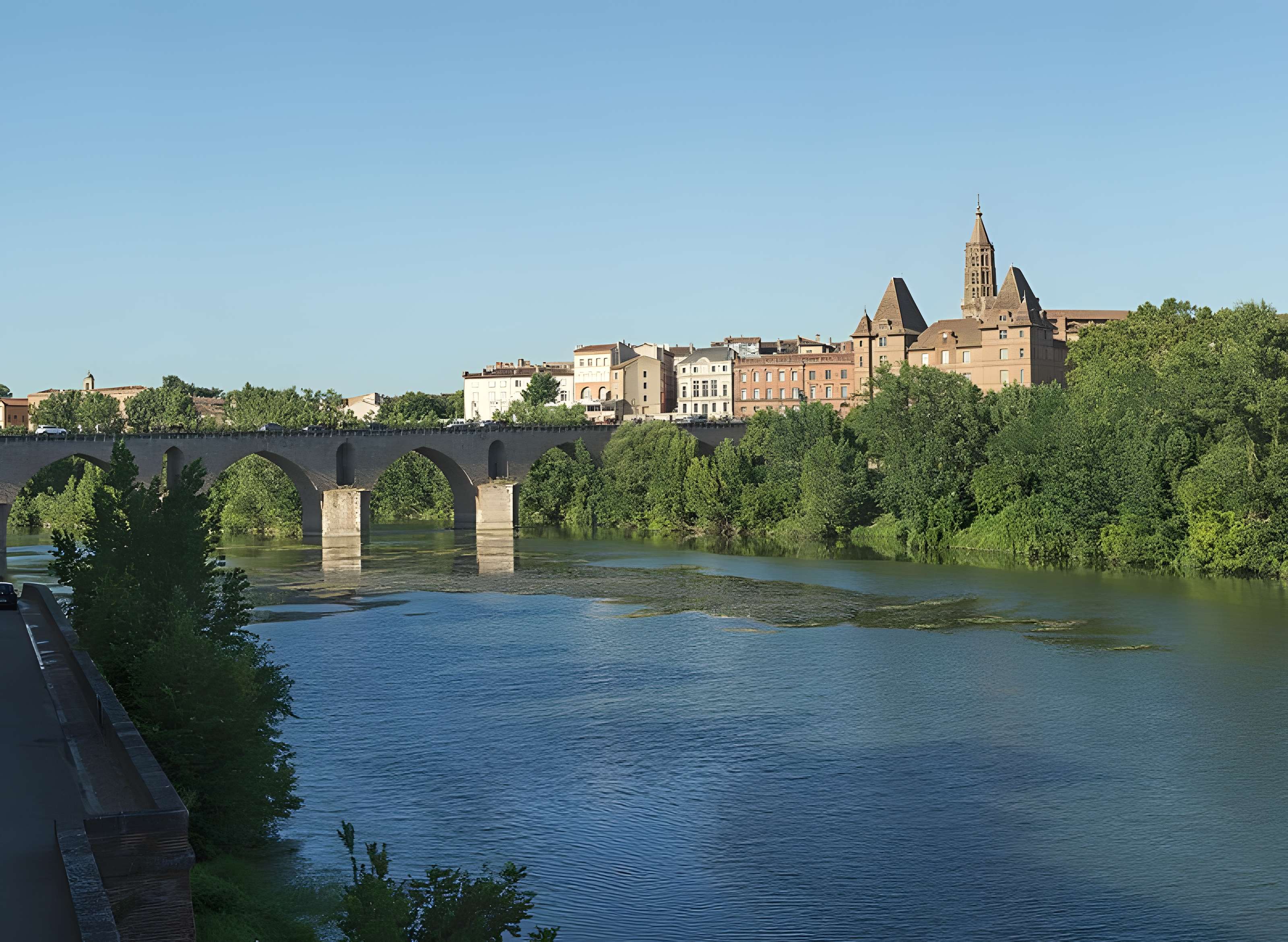 Pont Vieux de Montauban 