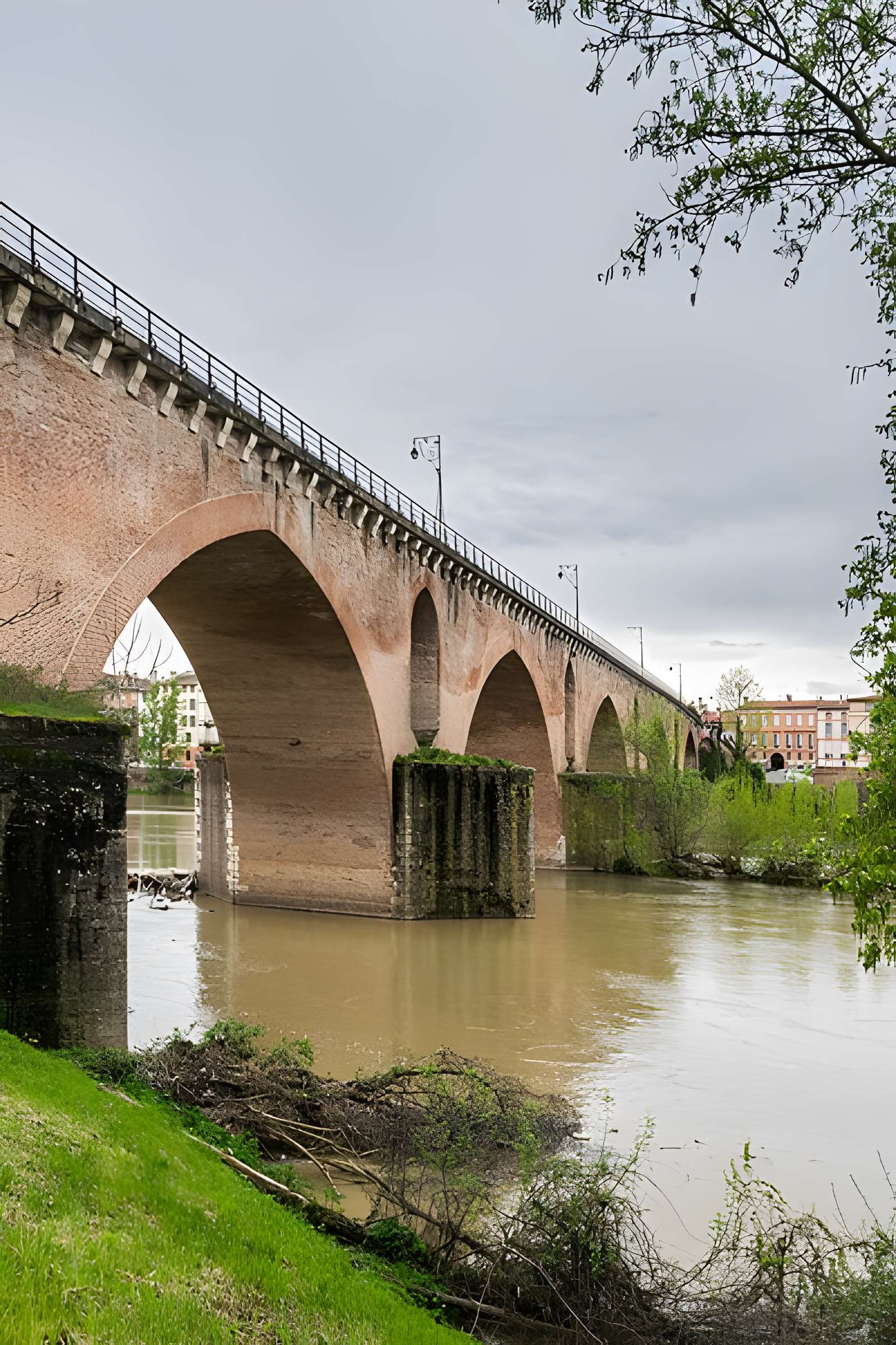 Pont Vieux de Montauban