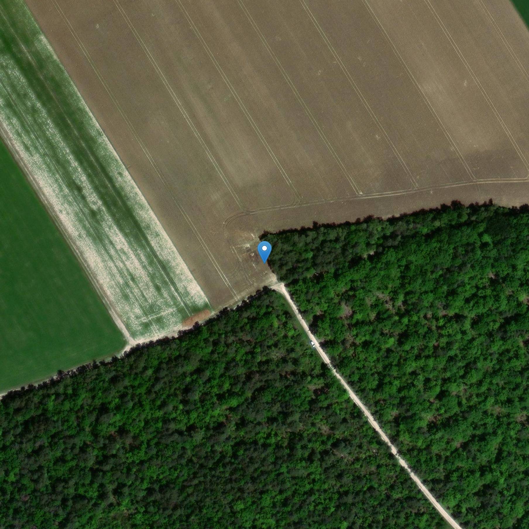 Photo de Menhir dit du Pas-Dieu