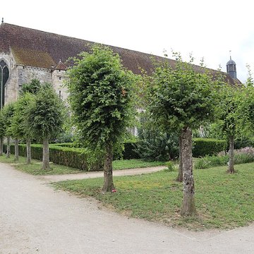Hôpital