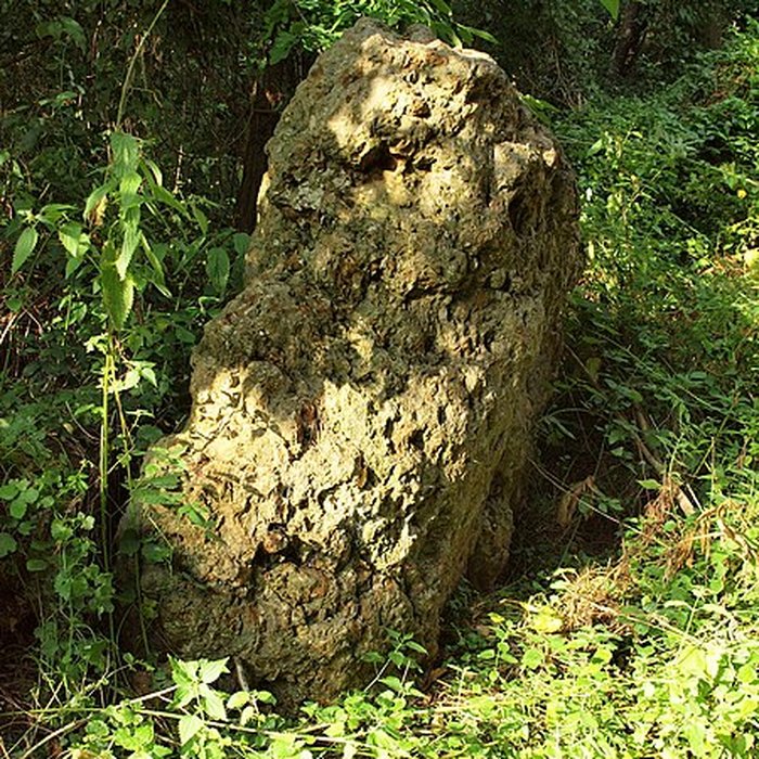 Photo de Menhir