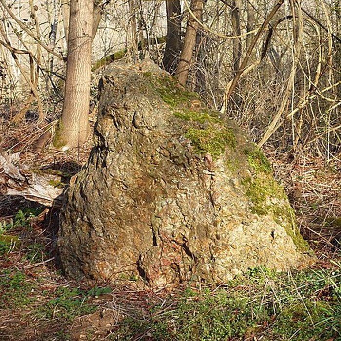 Photo de Menhir