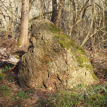 Menhir