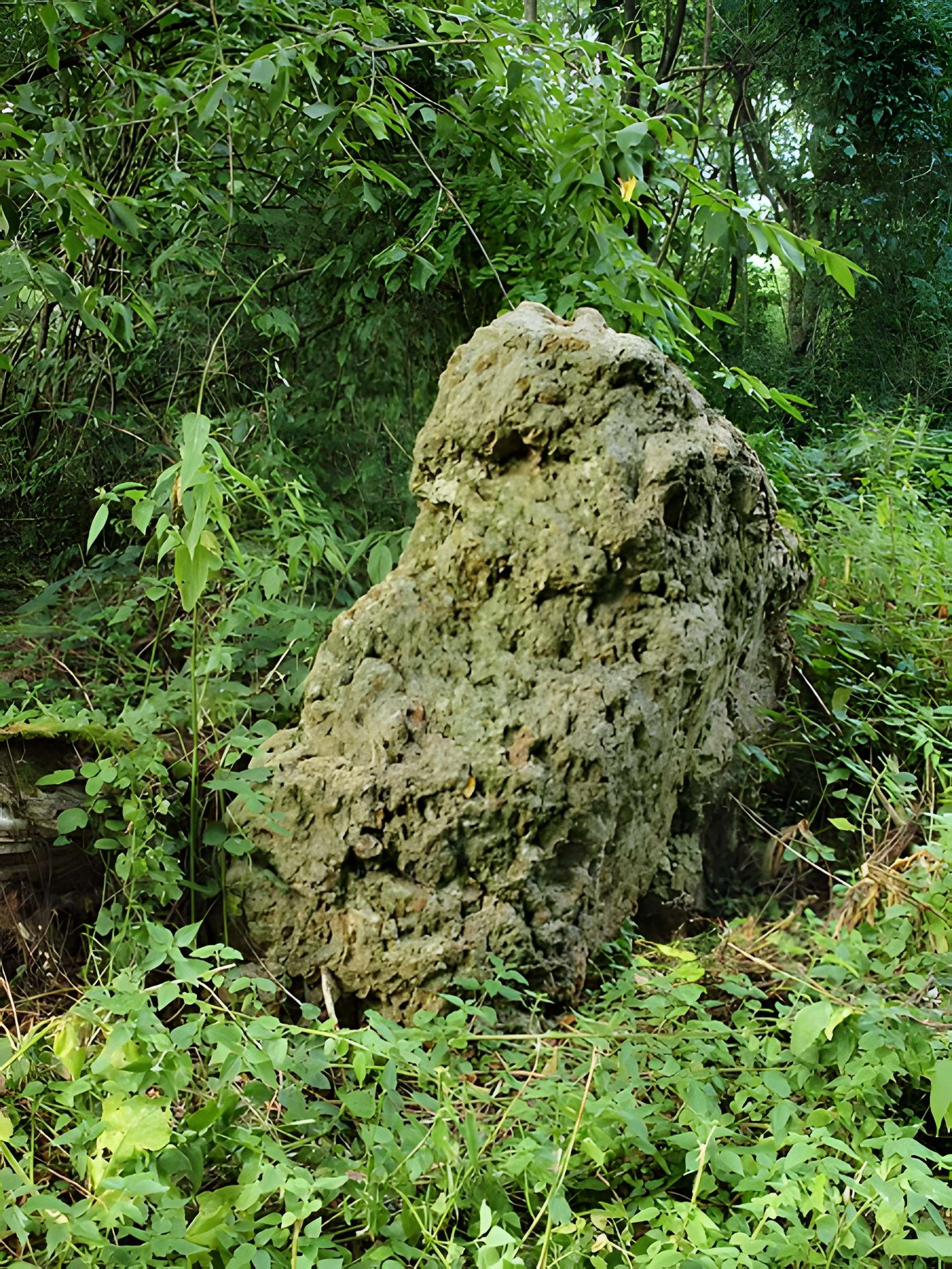 Menhir