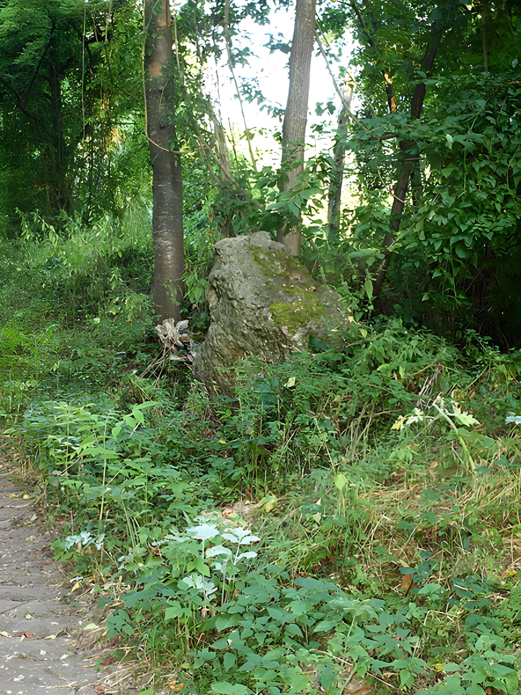 Menhir