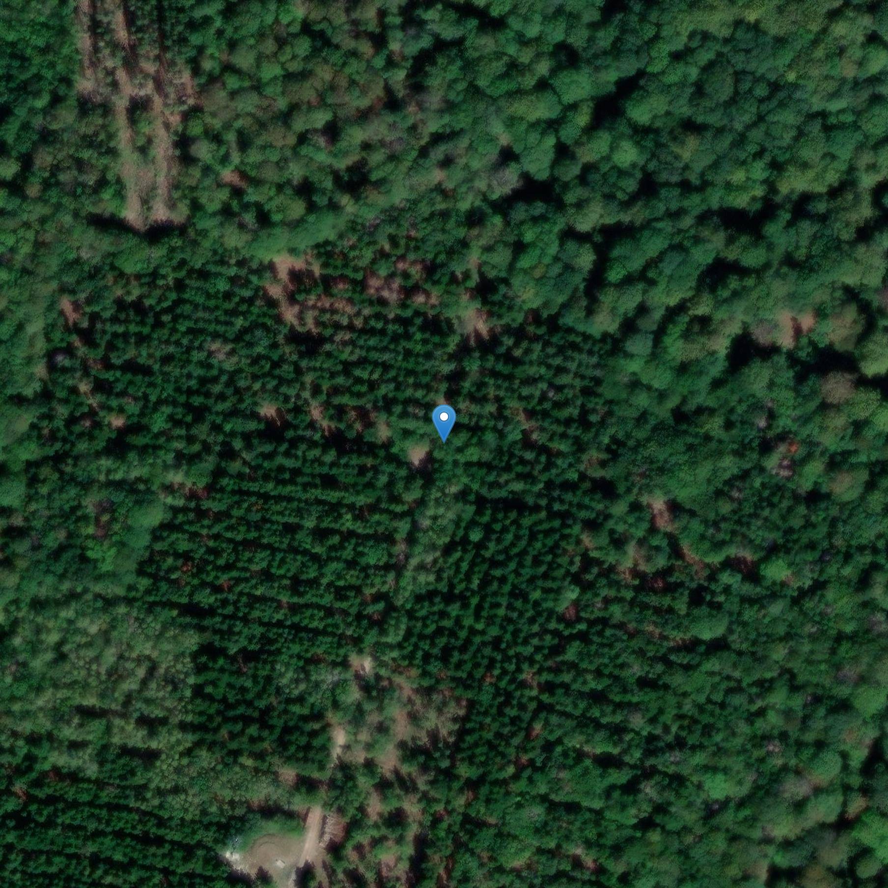 Photo de Hábitat fortificado (también en la comuna de Montbouton)