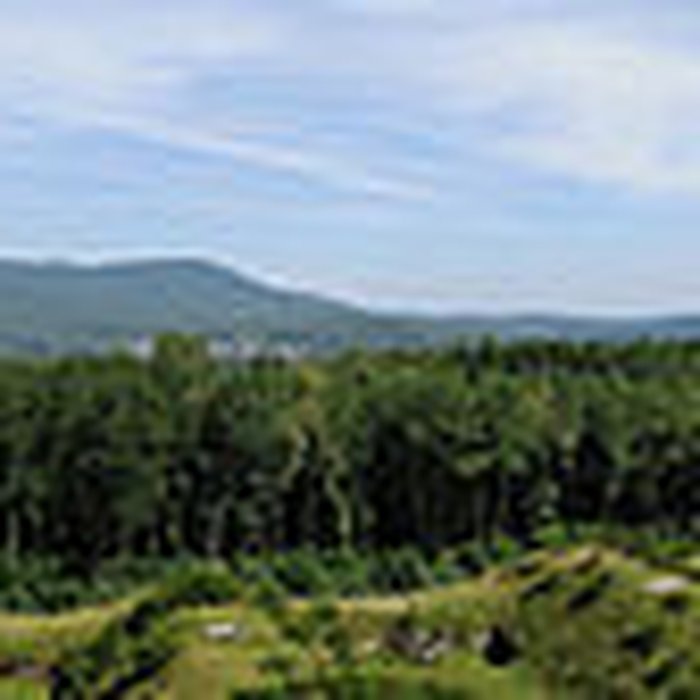 Photo de Fort Dorsner également sur commune dAuxelles-Bas