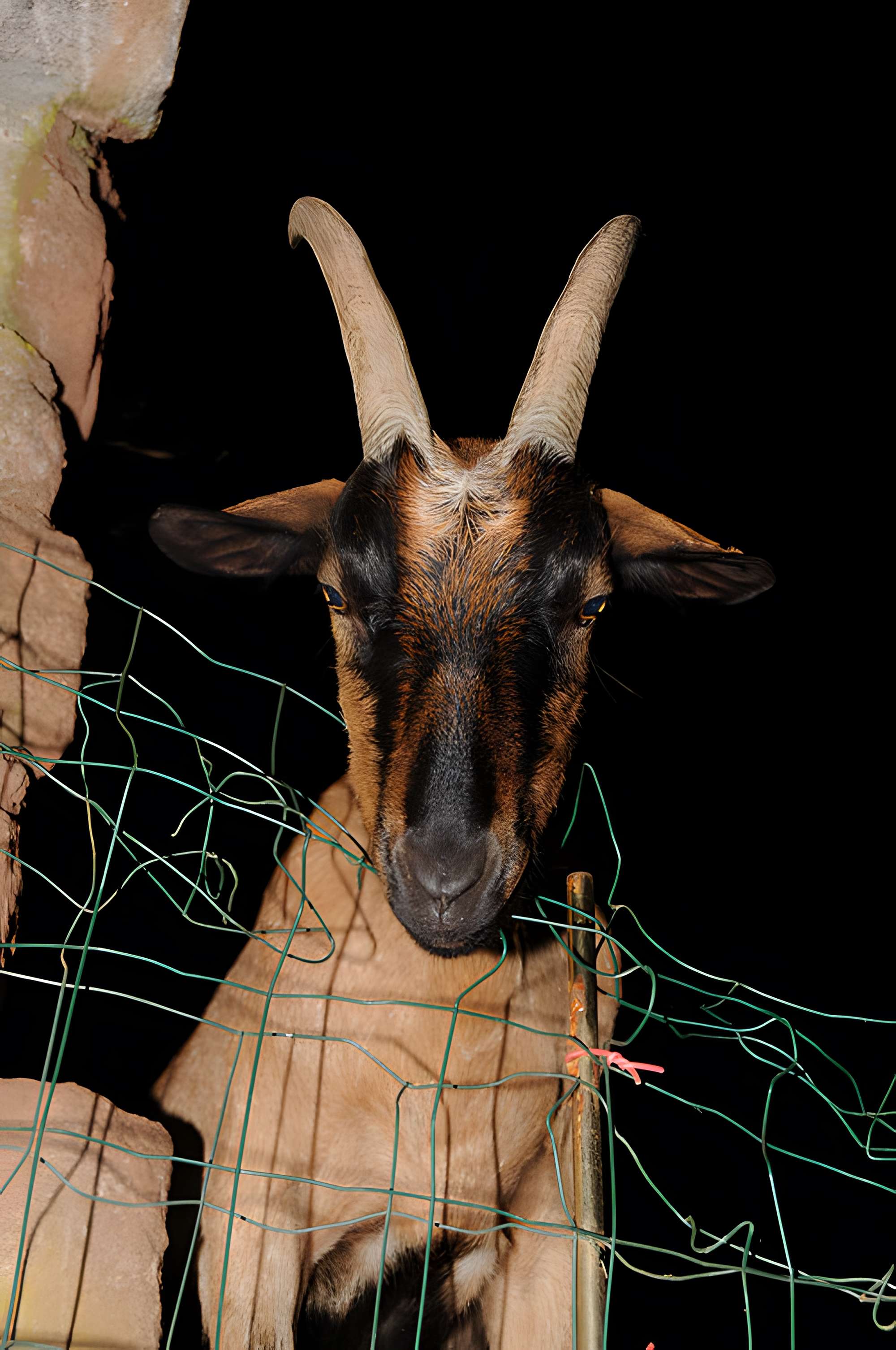 Fort Dorsner (également sur commune d'Auxelles-Bas)