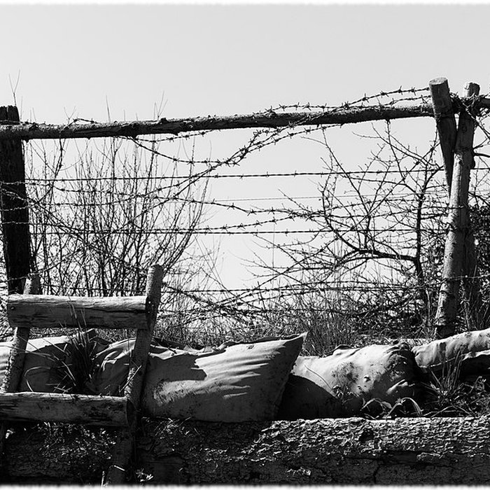 Photo de Ouvrage de Meroux