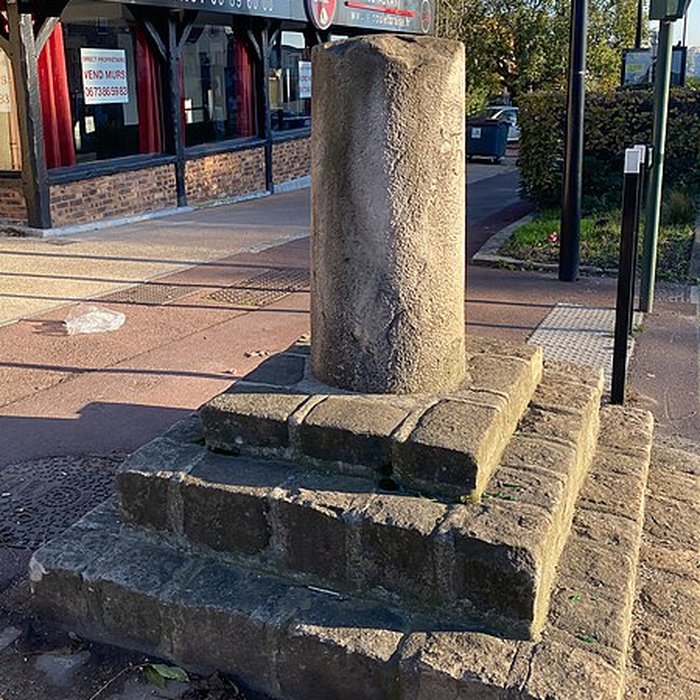 Photo de Borne à fleur de lys n 21