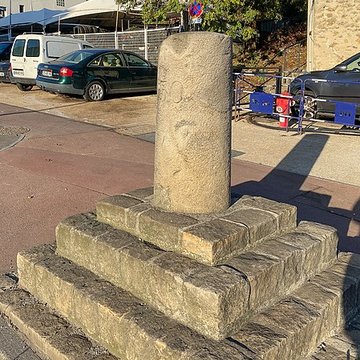 Borne à fleur de lys n 21