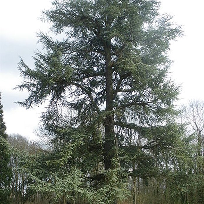 Photo de Domaine du château