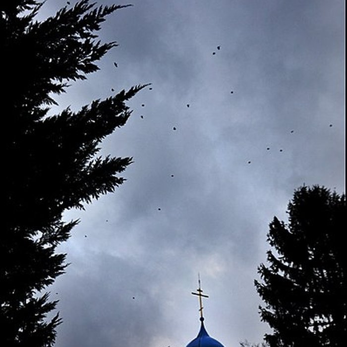 Photo de Cimetière de Liers