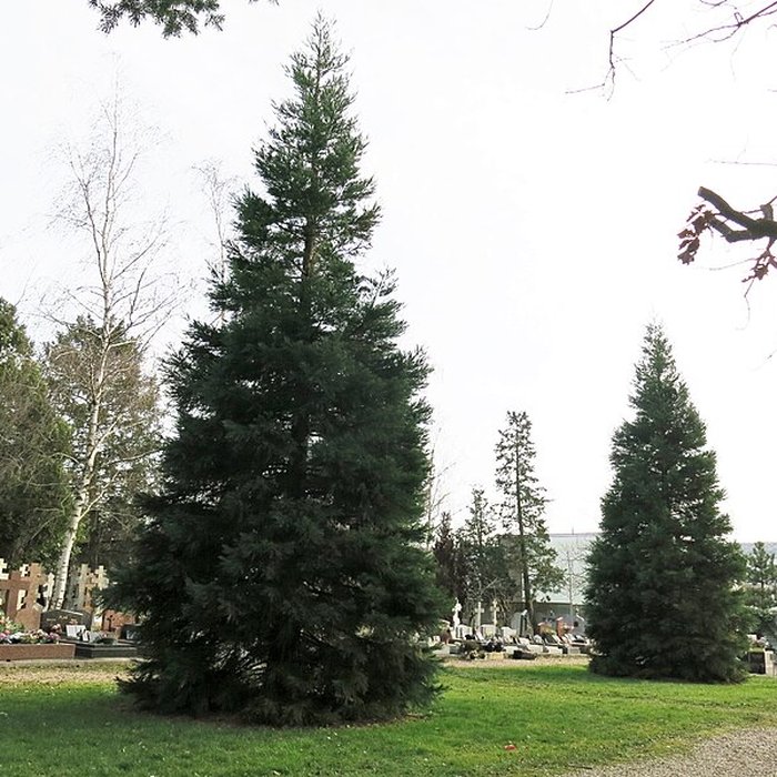 Photo de Cimetière de Liers