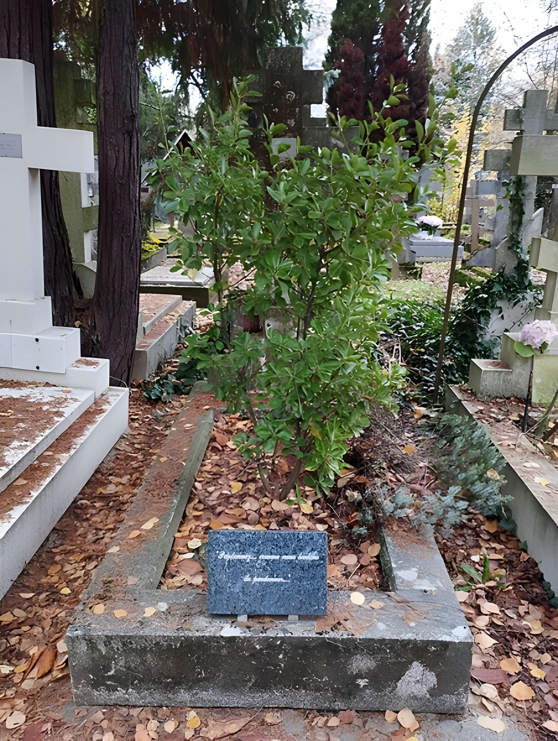 Cimetière de Liers
