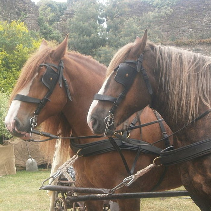 Photo de Château de Comper
