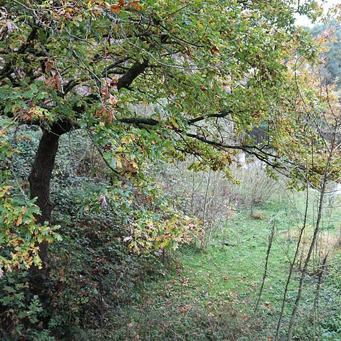 Photo de Château de Comper
