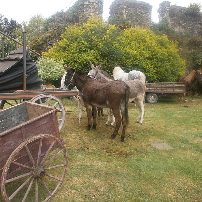 Photo de Château de Comper