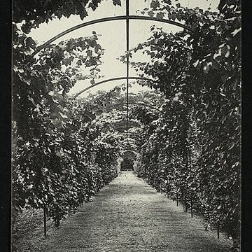 Rendez-vous de Chasse de Louis XV