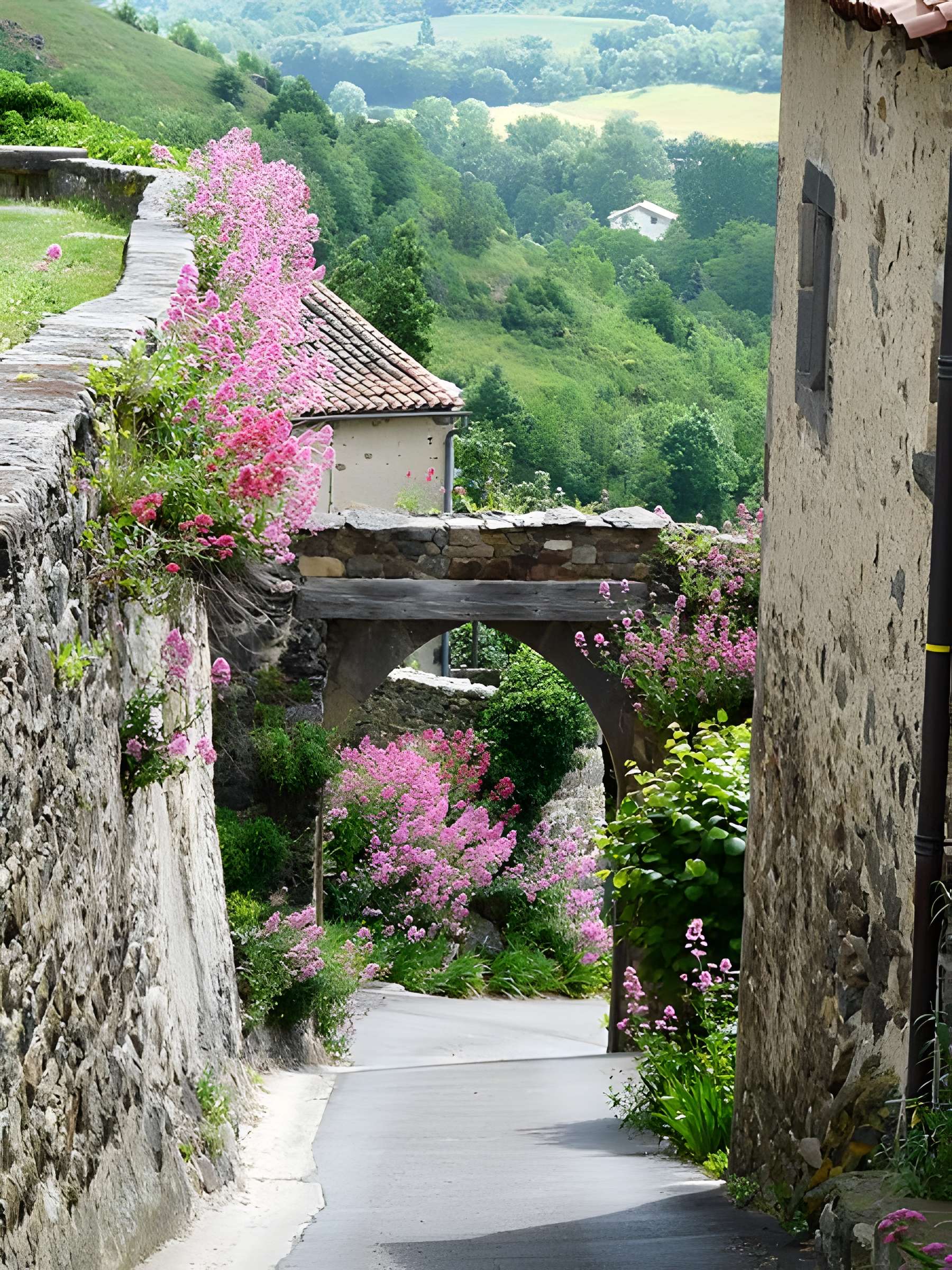 Porte d'enceinte de Montaigut-le-Blanc