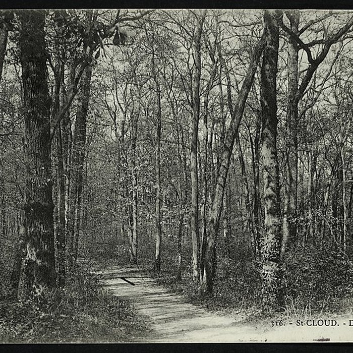 Photo de Domaine national de Saint-Cloud