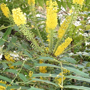Domaine national de Saint-Cloud