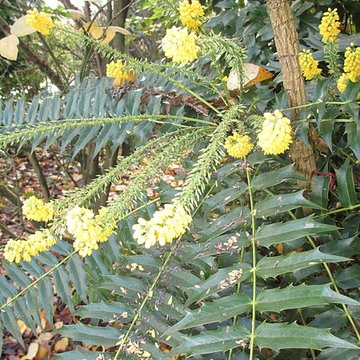 Domaine national de Saint-Cloud