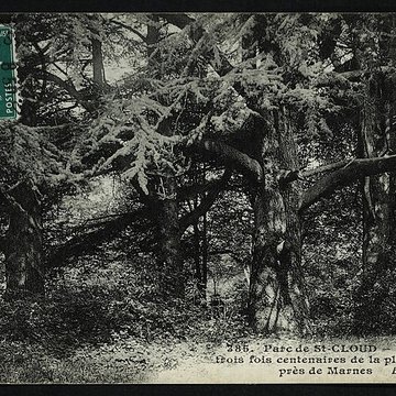 Domaine national de Saint-Cloud