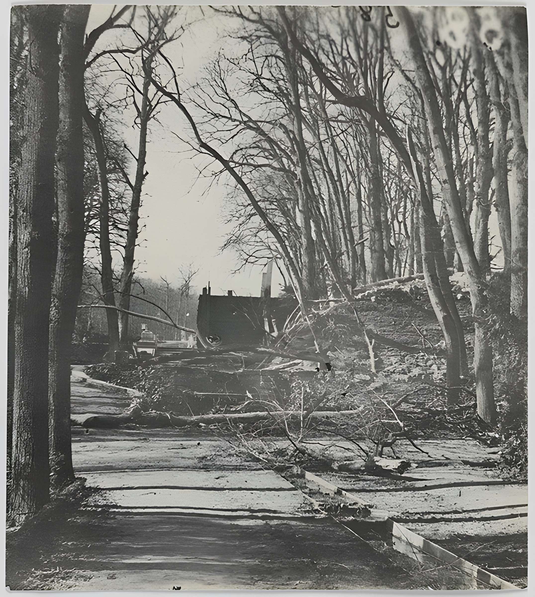 Domaine national de Saint-Cloud