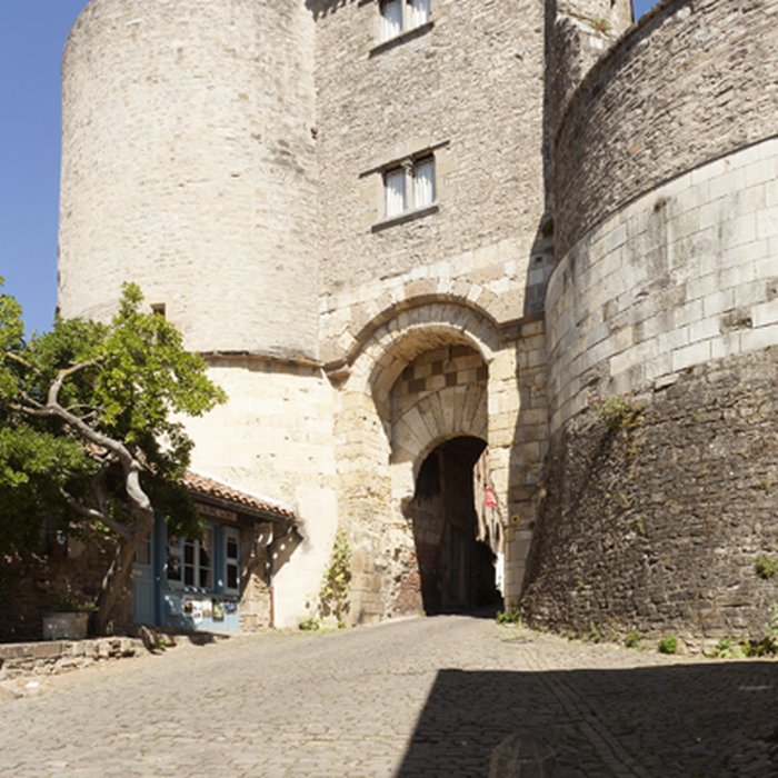 Photo de Porte des Ormeaux de Cordes-sur-Ciel