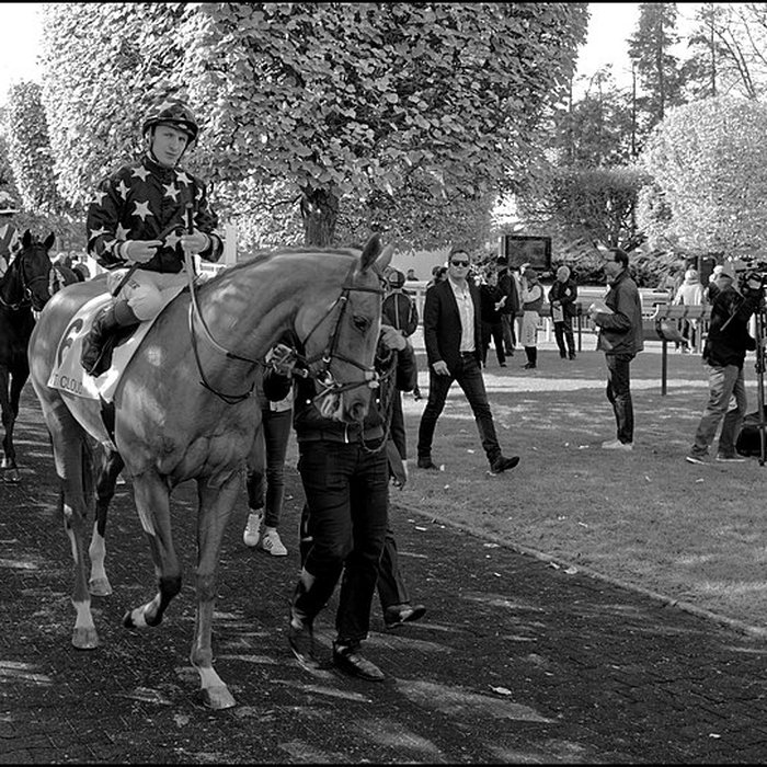 Photo de Hippodrome de Saint-Cloud également sur commune de Saint-Cloud