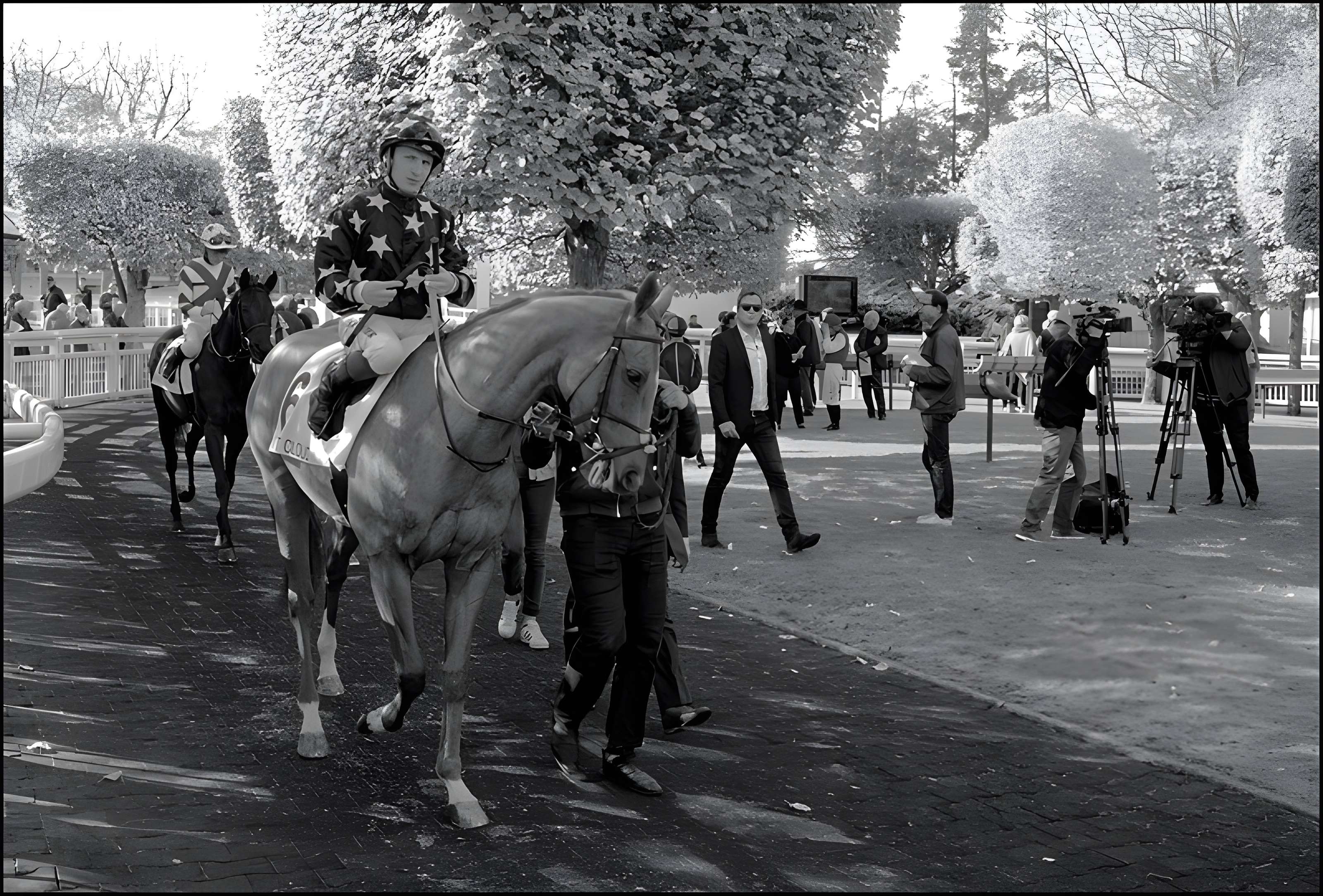 Hippodrome de Saint-Cloud (également sur commune de Saint-Cloud)