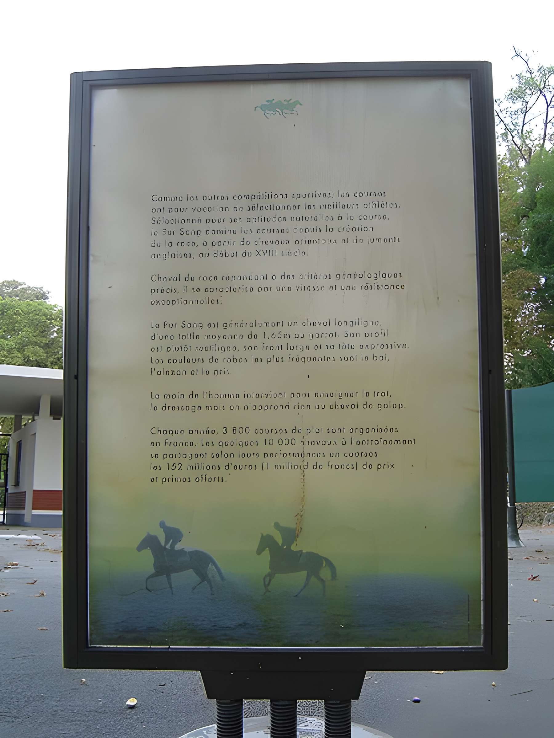 Hippodrome de Saint-Cloud (également sur commune de Saint-Cloud)