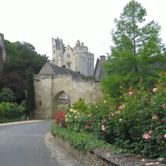 Photo de Porte du Moulin de Montreuil-Bellay