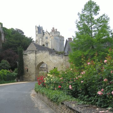 Porte du Moulin de Montreuil-Bellay