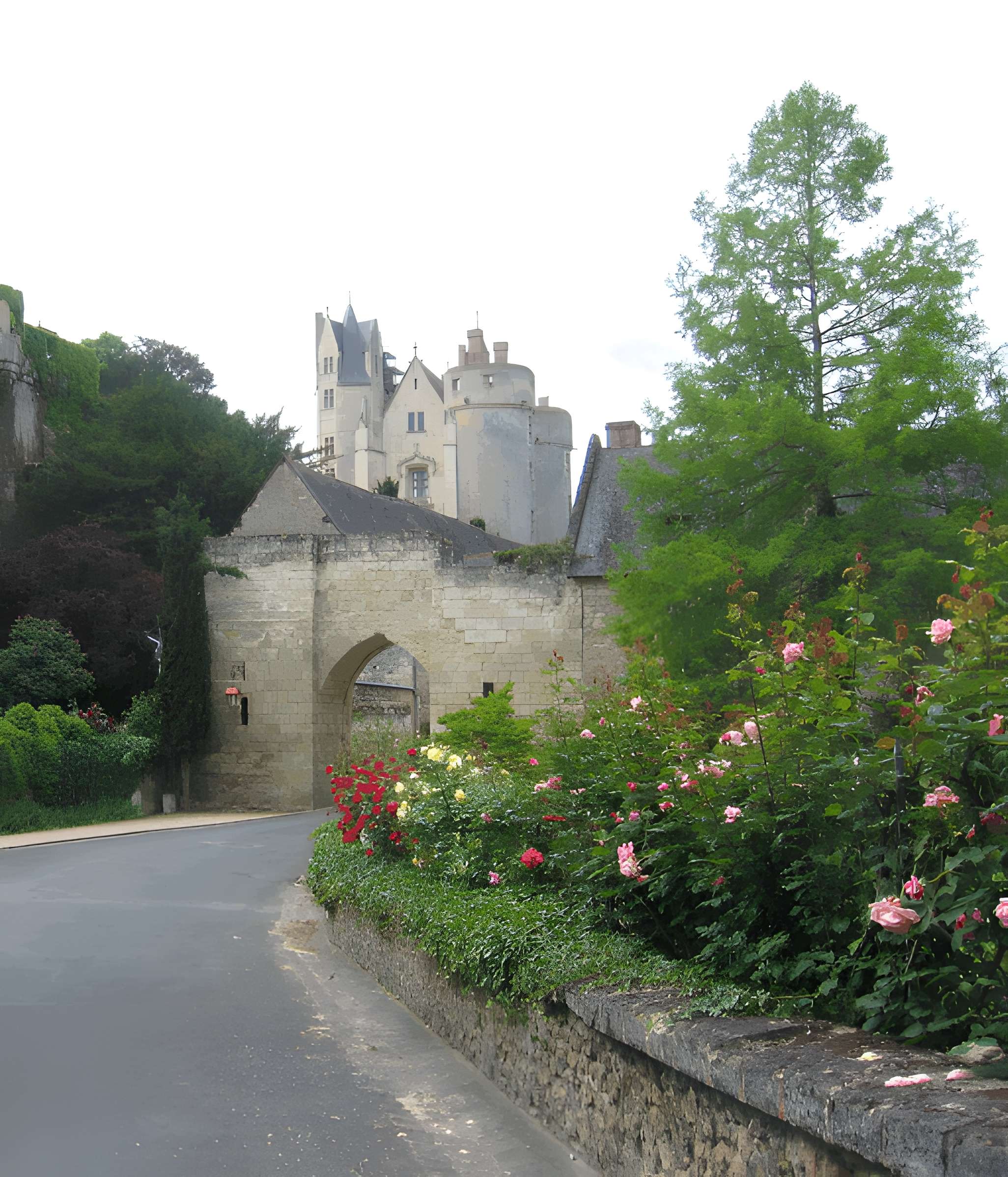 Porte du Moulin de Montreuil-Bellay