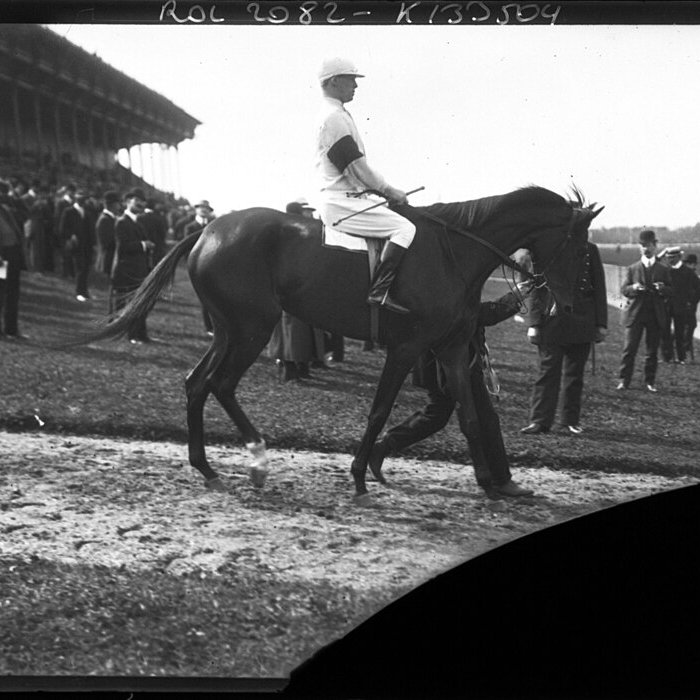 Photo de Hippodrome de Saint-Cloud